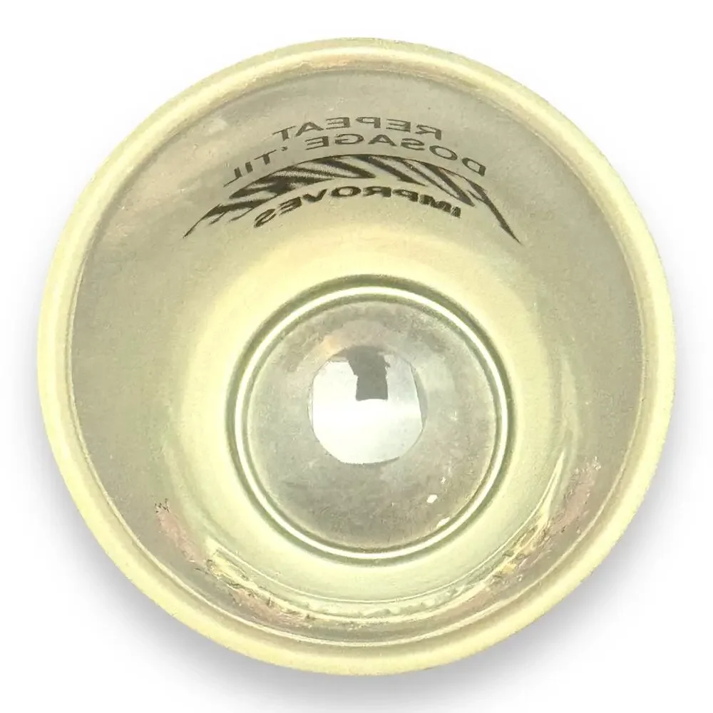 Sturgis Motorcycle Rally Frosted Shot Glass Roses